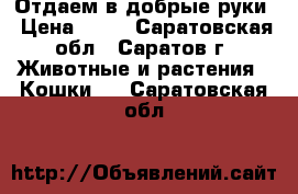 Отдаем в добрые руки › Цена ­ 10 - Саратовская обл., Саратов г. Животные и растения » Кошки   . Саратовская обл.